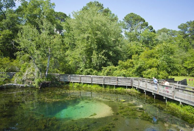 Magnolia Springs State Park, Georgia, USA